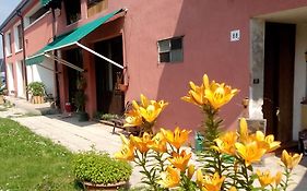 Ecogarden Camping With Rooms